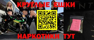 мяу мяу мука Аргун