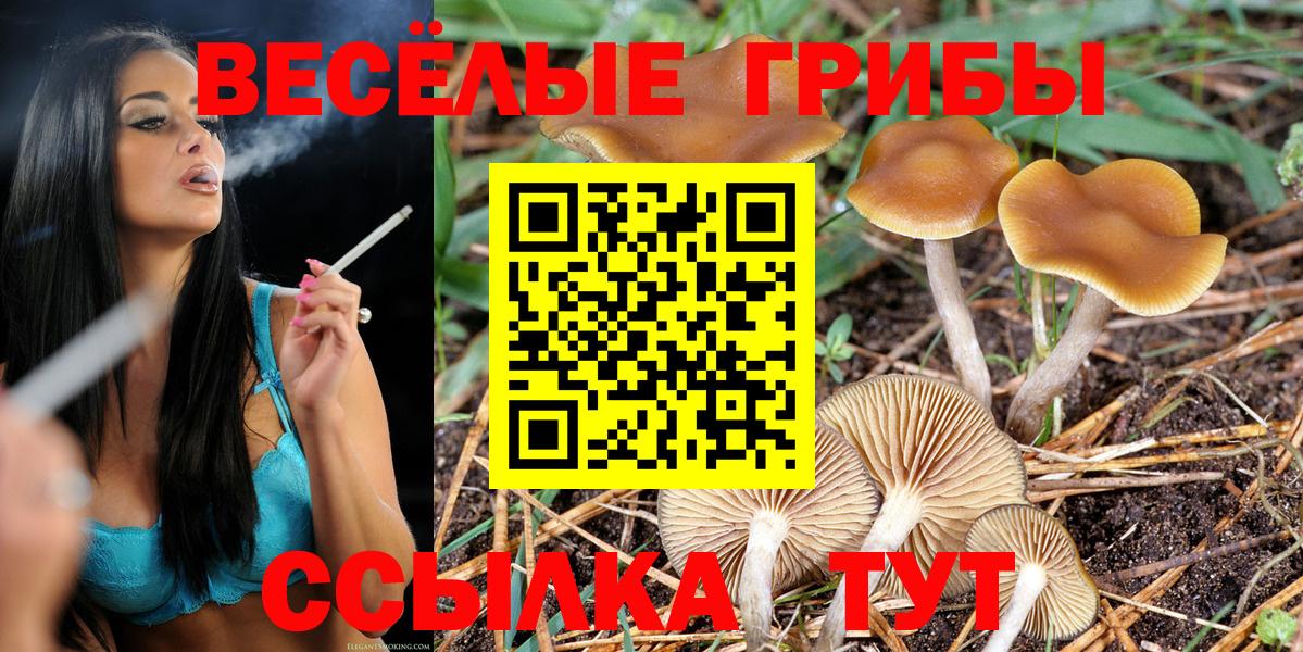 Псилоцибиновые грибы Psilocybine cubensis Богородицк