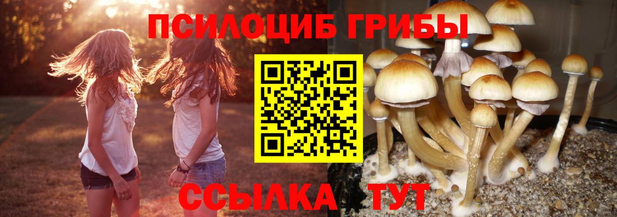 Псилоцибиновые грибы мухоморы  Вход с VPN  Псилоцибиновые грибы Magic Shrooms  Богородицк 